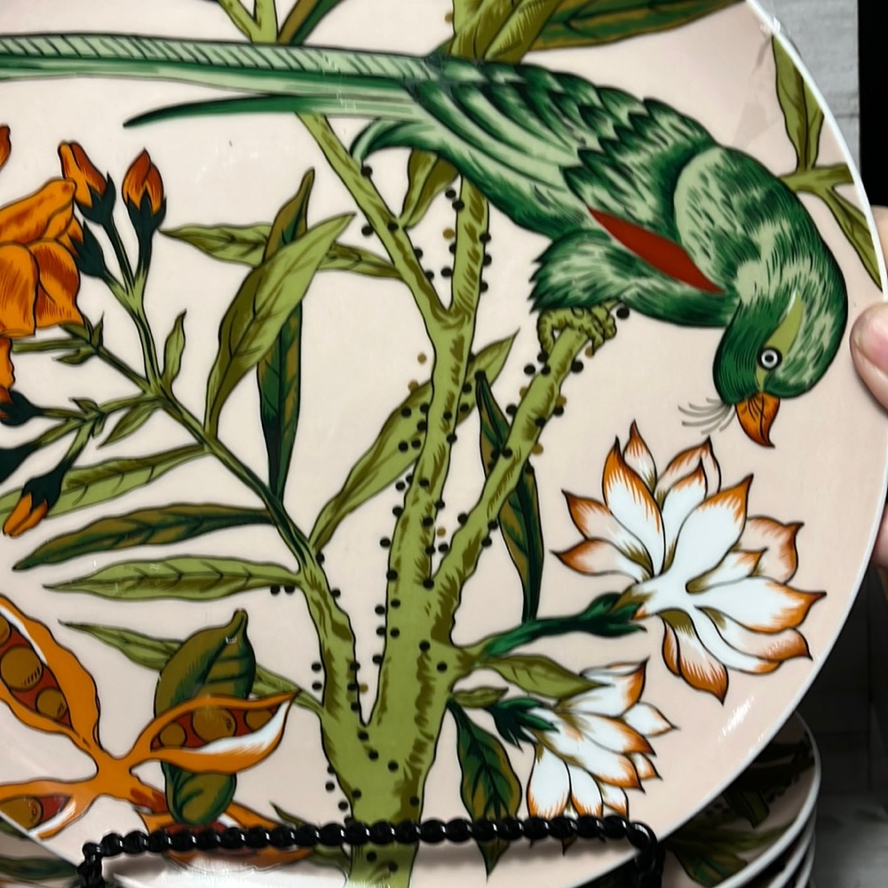 COPY - Set of 4 The Haldon Group "The Parrots" plates